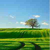 自‍动‍api接​口‌系‍统​有​哪‌些‌